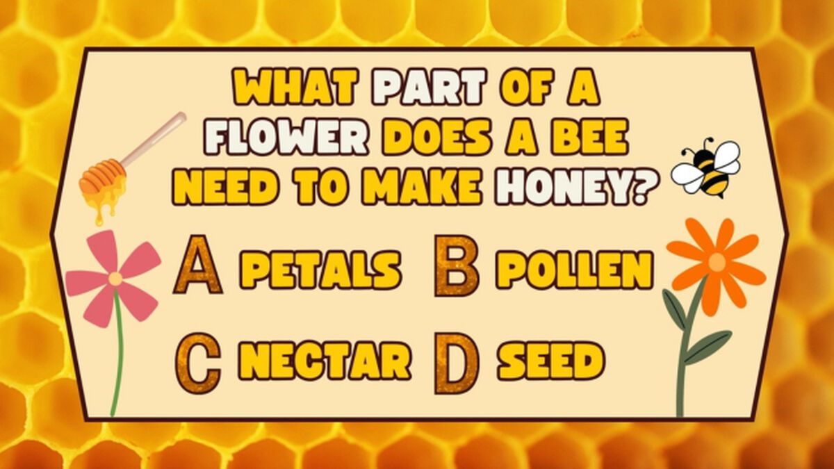 Bee's Knees image number null